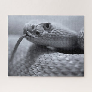 Venomous Rattlesnake in Monochrom, Jigsaw Puzzle