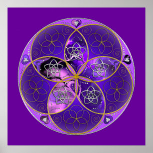 Venus-Blume des violetten Rosas der Liebe-schönen Poster