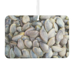Venus Clam [ห อ ล า ย] Autolufterfrischer