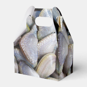 Venus Clam [ห อ ล า ย] Geschenkschachtel