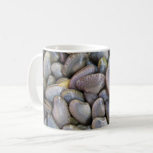 Venus Clam [ห อ ล า ย] Kaffeetasse