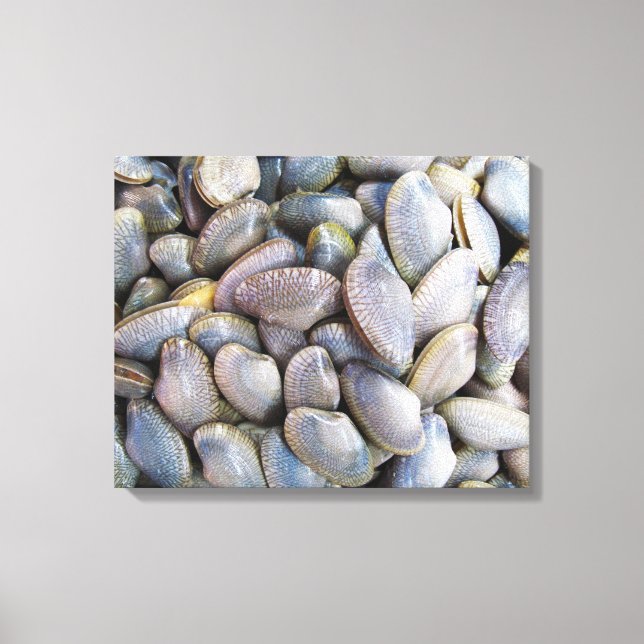 Venus Clam [ห อ ล า ย] Leinwanddruck (Vorderseite)