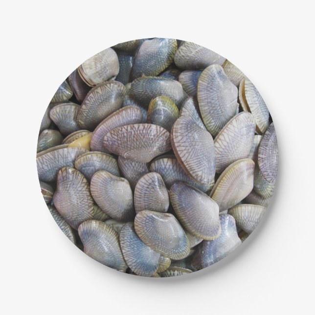 Venus Clam [ห อ ล า ย] Pappteller (Vorderseite)