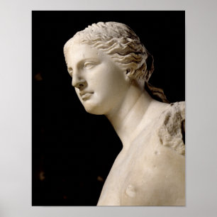 Venus de Milo Poster