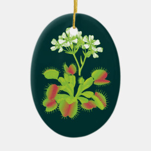 Venus Fliegenfalle botanische Kunst-Verzierung Keramik Ornament