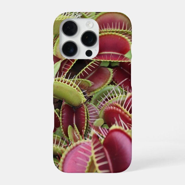 Venus Fly Trap Handy Case iPhone Hülle (Rückseite)