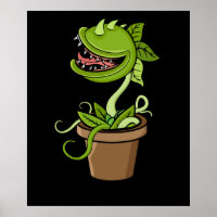 Venus Fly Trap Plant Gift Men Carnivorous Plants