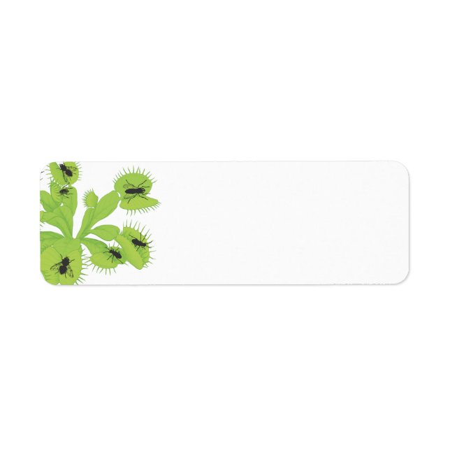 Venus Flytrap mit Flies-Labels (Vorne)