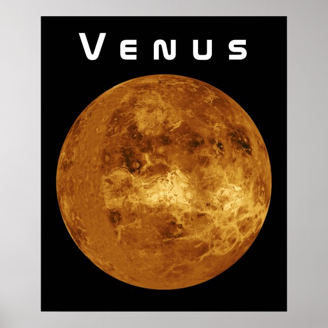 Venus Poster (Vorne)