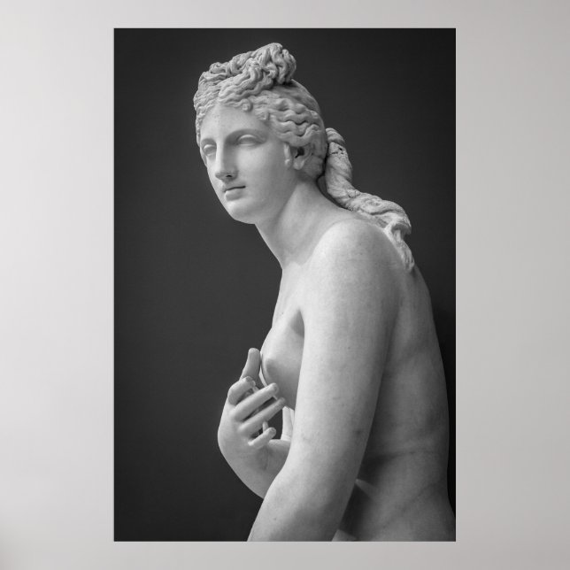 Venus Poster (Vorne)