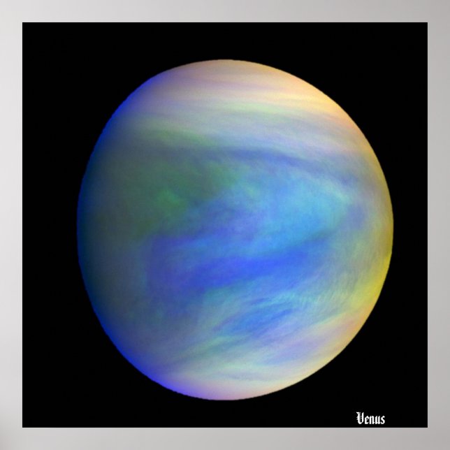 Venus / poster (Vorne)