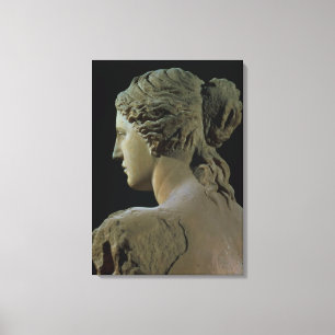 Venus von Milo, Detail der Rückseite des Kopfes, Leinwanddruck