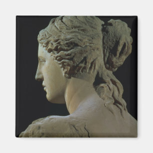 Venus von Milo, Detail der Rückseite des Kopfes, Magnet