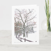 Verabredungen in der Natur: Grußgröße