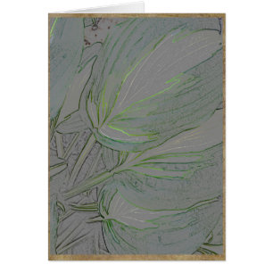 Verändertes Hosta-Blätter