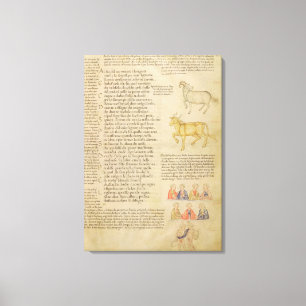 Veranschaulichung Seite fol.171 Frau-Italien 87 Leinwanddruck