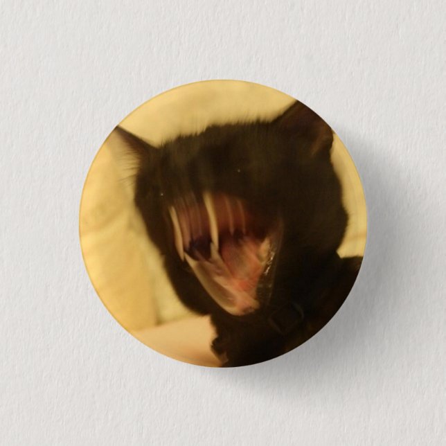 verärgerte Katze Button (Vorderseite)