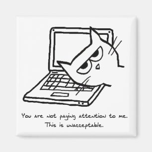 Verärgerte Katze verlangt Aufmerksamkeit - Magnet