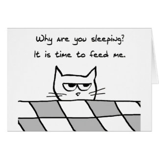 Verärgerte Katze will Sie aus Bett heraus