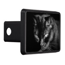 Verärgerte schauende schwarze Katze