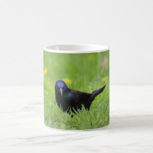 Verärgerte Vogel-Tasse Kaffeetasse