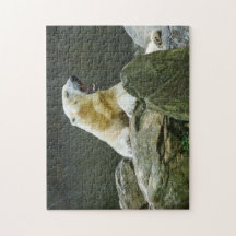 Verärgerter Eisbär