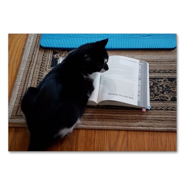 Verb Looking, Cat Reading FlashCards für Erwachsen Tischnummer (Vorderseite)