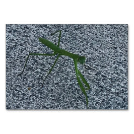 Verben, beten Mantis wandern, Flashcards lesen Tischnummer