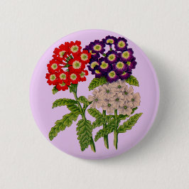 Verbena-Blume Button