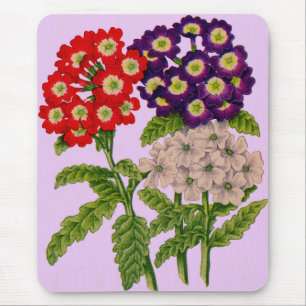 Verbena-Blume in rot und lila Mousepad