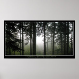 "VERBIDDEN MISTS" Grünes Misty Forest Foto Poster