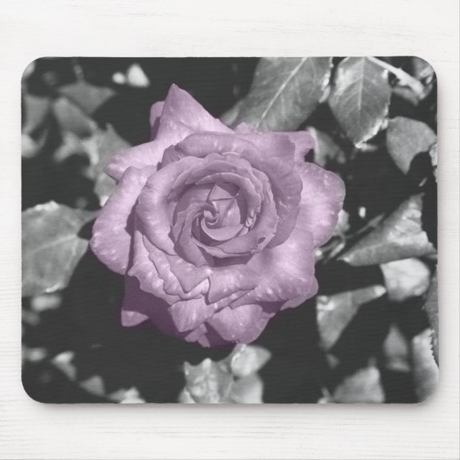 Verblaßte Rose Mousepad (Vorne)