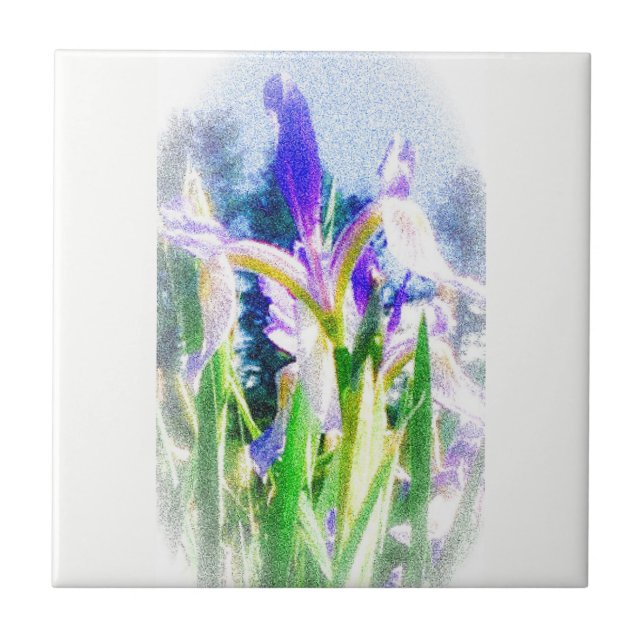 Verbleiter Iris-Tile Fliese (Vorderseite)