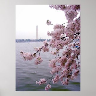 Verblendete Erinnerungen Poster