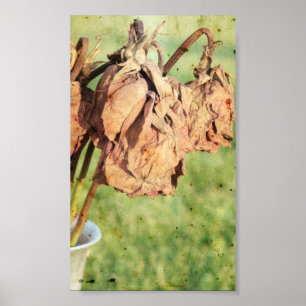 Verblendete Erinnerungen Poster