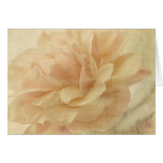 Verblendete Rose leer