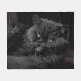Verblüffende schwarze persische Katzen-Fleecedecke Fleecedecke