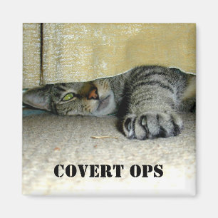 Verborgene ops magnet
