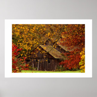 Verborgene Schönheit. Poster