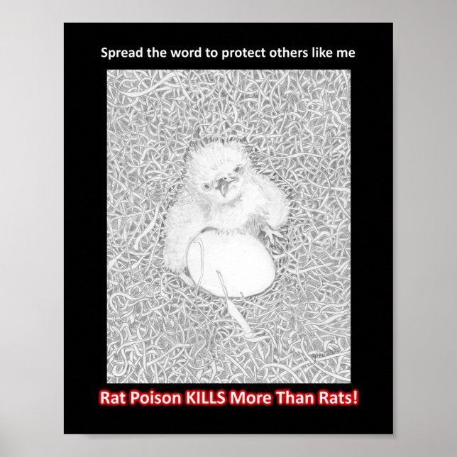 VERBREITEN SIE DAS WORT RAT POISON KILLS HELP WILD POSTER (Vorne)