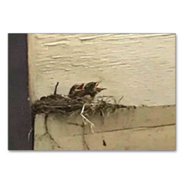 Verbs Chirping Birds Reading Flashcards für Erwach Tischnummer