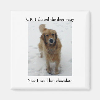 verbündet zuckte, OK, ich jagte den Hirsch weg, Je Magnet