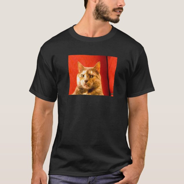 Verdächtige Katzen-Meme T-Shirt (Vorderseite)