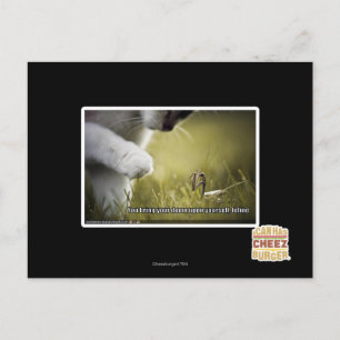 Verdammt über euch postkarte