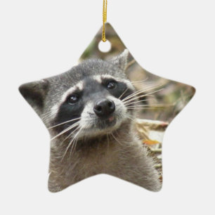 Verdeckte Waschbär-Verzierung Keramik Ornament