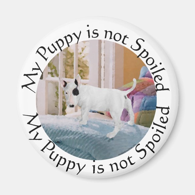 Verdorben? Bull Terrier Welpe. . . Nicht Magnet (Vorne)