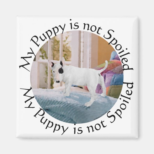 Verdorben? Bull Terrier Welpe. . . Nicht Magnet (Vorne)