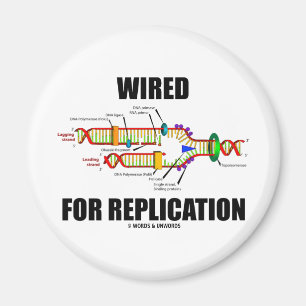 Verdrahtet für Reproduktion (DNS-Reproduktion) Magnet