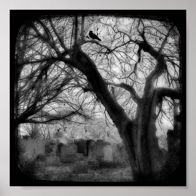 verdreht poster (Vorne)