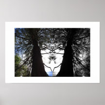 Verdrehte Zweige Yosemite Reflexionsfotografie